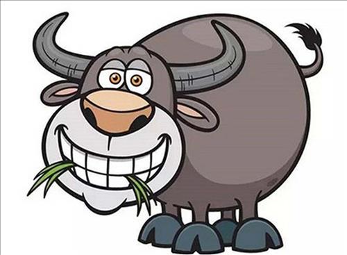 mo-thay-trau-la-diem-bao-gi